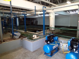 Waste water treatment