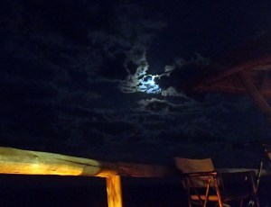 Kalahari Night Sky