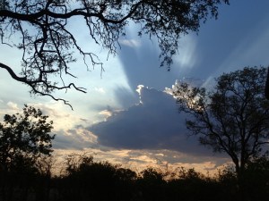 Sunset - Selinda